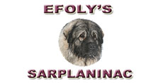 EFOLY'S SARPLANINAC