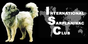 International Club