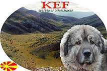 KEF