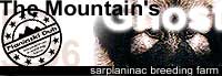 MOUNTAIN GHOST