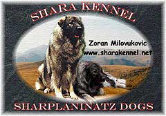 SHARA