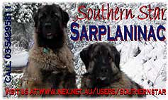 SOUTHERN STAR