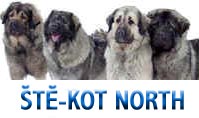 STE-KOT NORTH