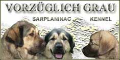VORZ&Uuml;GLICH GRAU (H)