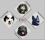 HSO
