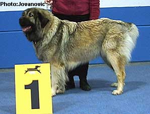 Bayka