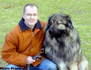 sarplaninac Agat 2 years