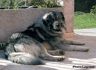 Bigor 2 years
