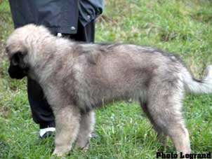 Bigor 3,5 months