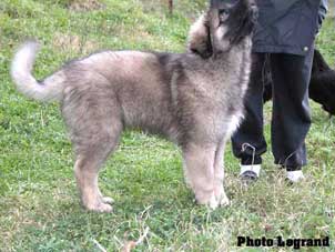Bigor 3,5 months