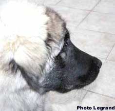 Bigor 5 months