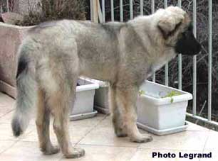 Bigor 5 months