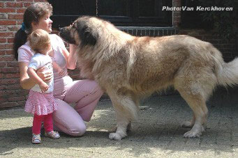Blachko 5,5 years