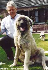 Blachko 6 months