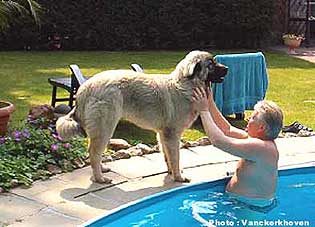 Blachko 8 months