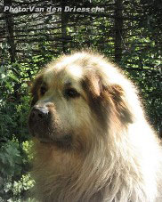 Boratz 5,5 years
