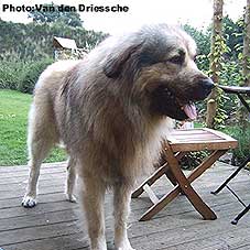 Boratz 2,5 years