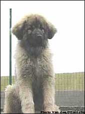 Boratz 4 months