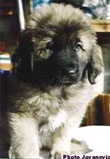 Bouba 2 months