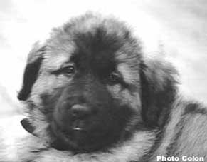 Bouba 2 months