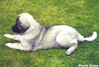 Bouba 2 months
