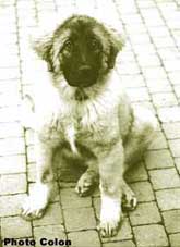 Bouba 3 months
