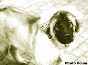 Bouba 3 months