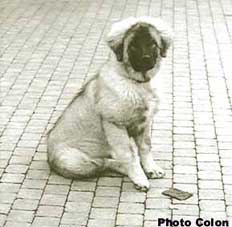 Bouba 3 months