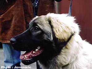 Bouba 5,5 months