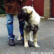 Bouba 5,5 months