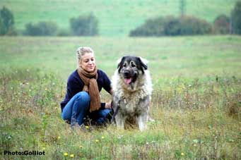 Brehat 5 Years & her pups
