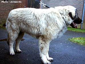 Calko 7 months