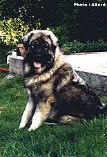Cakan 10 months