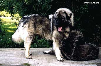 Cakan 10 months