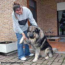 Cerak 3,5 Years