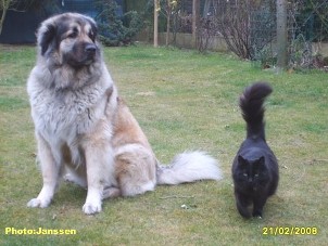 Cica Vesna 4,5 years