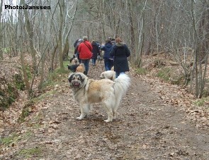 Cica Vesna 4,5 years