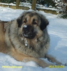 Cica Vesna 5 years
