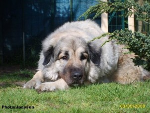 Cica Vesna 5 years