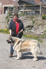 Sarplaninac Cicavesna 7 years