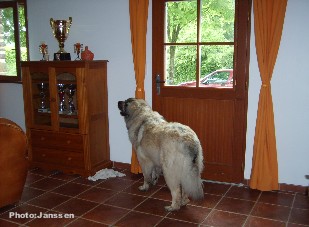 Cica Vesna 5 years