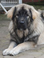 Hodessa 8 months
