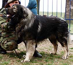 Cal 03/97