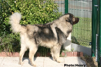 Duci 6,5 years