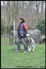 Sarplaninac Duska 6,5 years