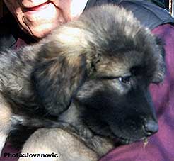 Divna 2 months