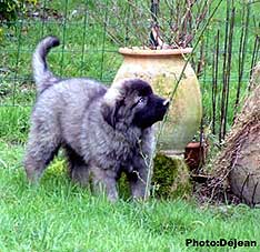 Divna 9 weeks