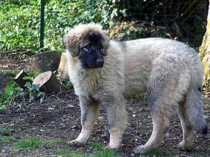 Divna 3,5 months