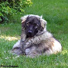 Divna 8 months