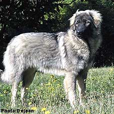 Divna 8 months